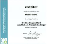 Zertifikat Dry-Needling